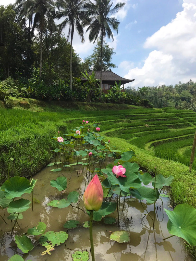 One of the guest villas at Clove Tree Hill luxury retreat in Bali