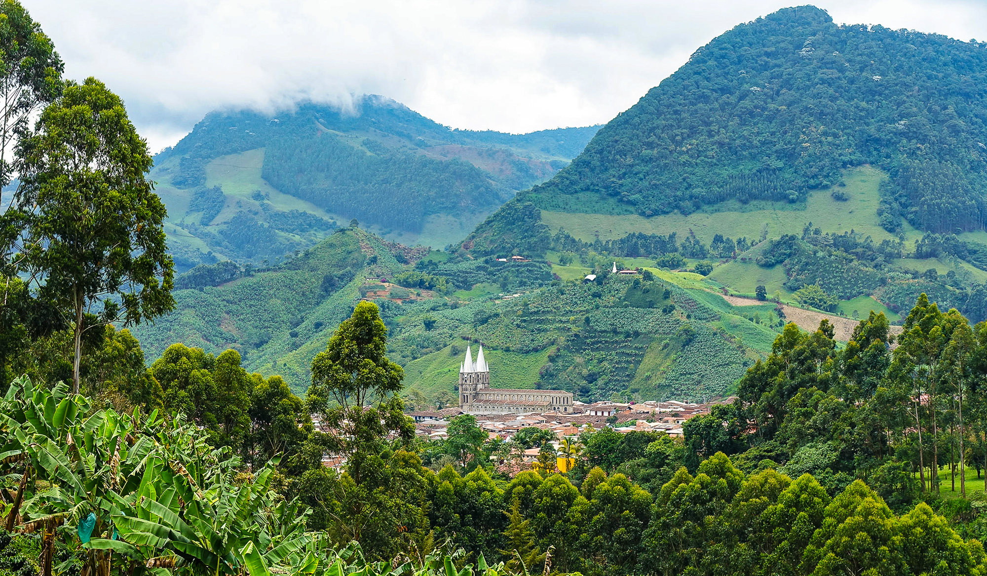 Colombia's Coffee Triangle: Pereira, Manizales And Armenia